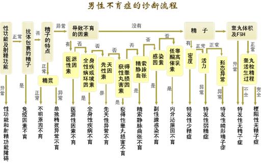 男性不育症检查流程