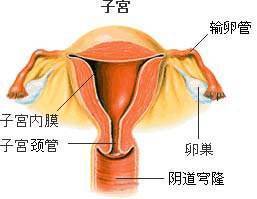 子宫内膜炎的症状